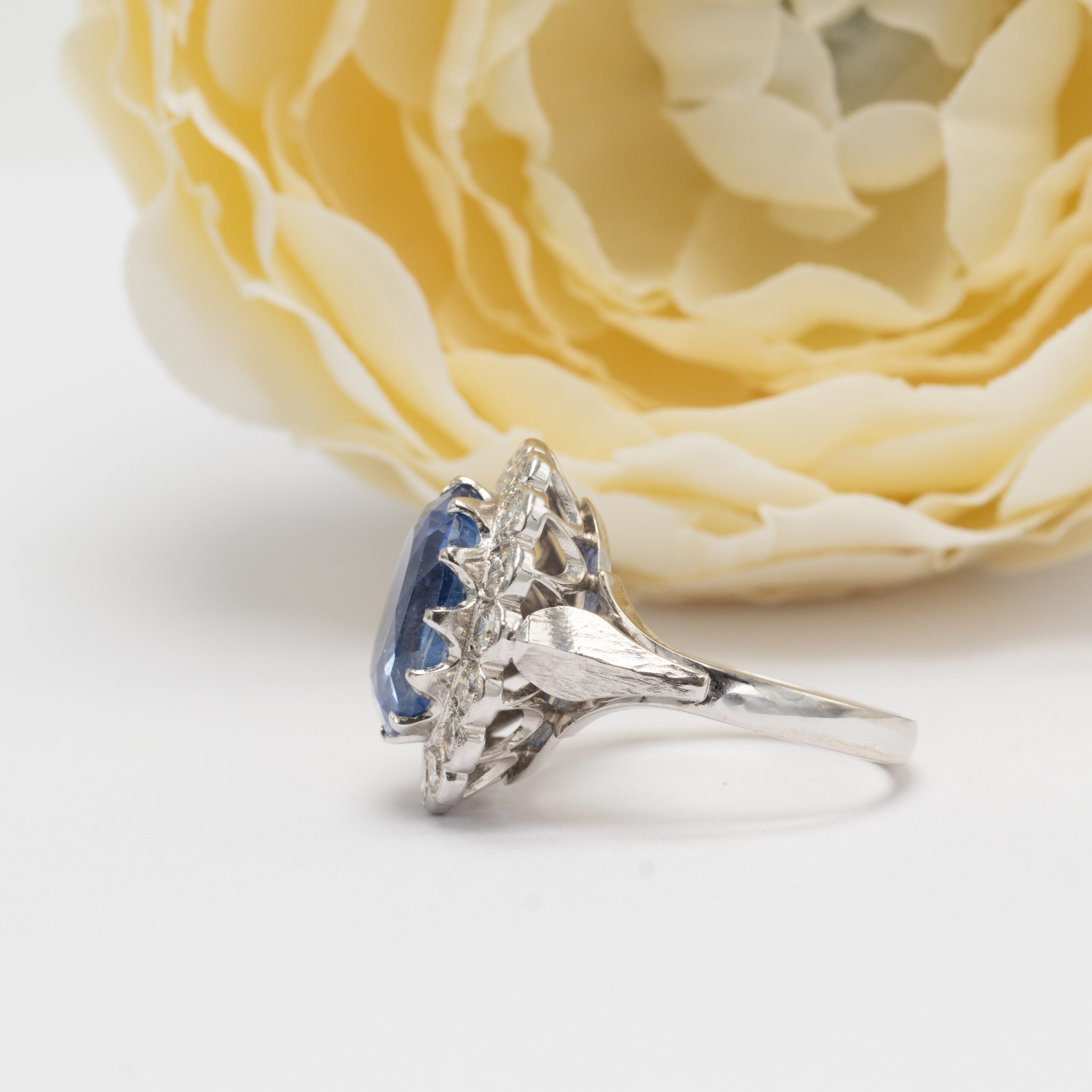 Shaxsiy fotosuratlar anal teshiklarni korsatadi Porno filmlar toplamidan